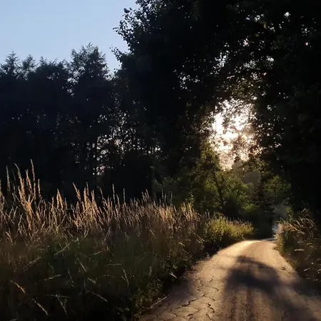 Waldoase im Herzen des Teutoburger Waldes Bad Iburg Exterior foto