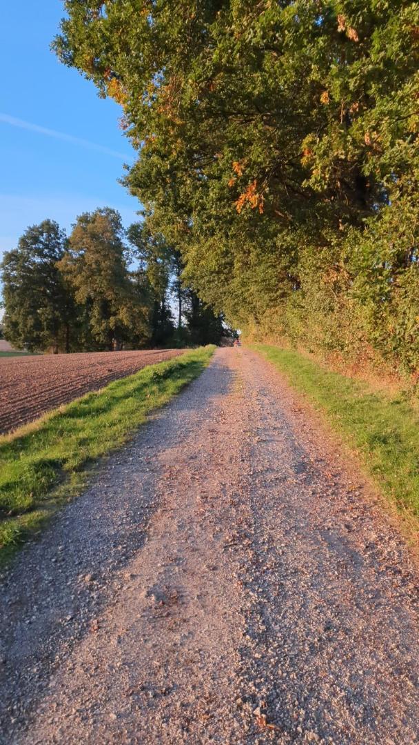 Waldoase Im Herzen Des Teutoburger Waldes * Bad Iburg