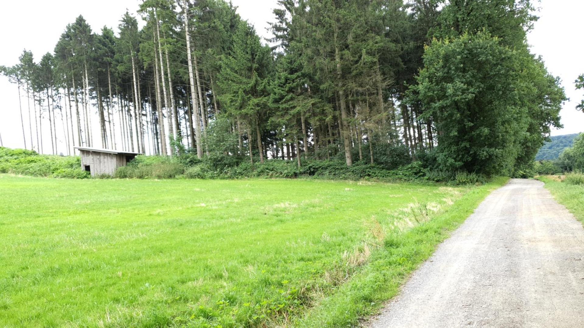 Apartment Waldoase Im Herzen Des Teutoburger Waldes