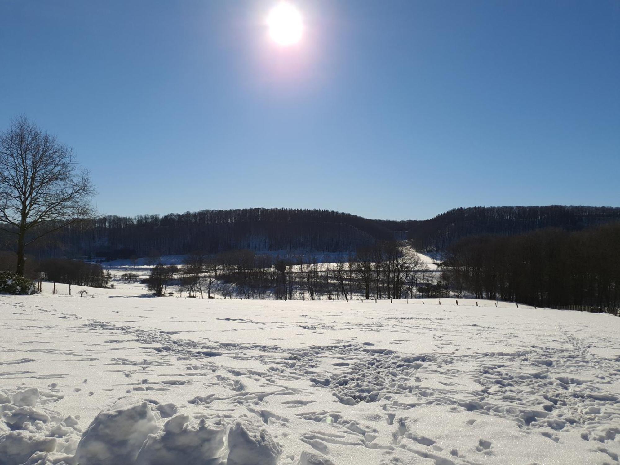 Waldoase Im Herzen Des Teutoburger Waldes Bad Iburg