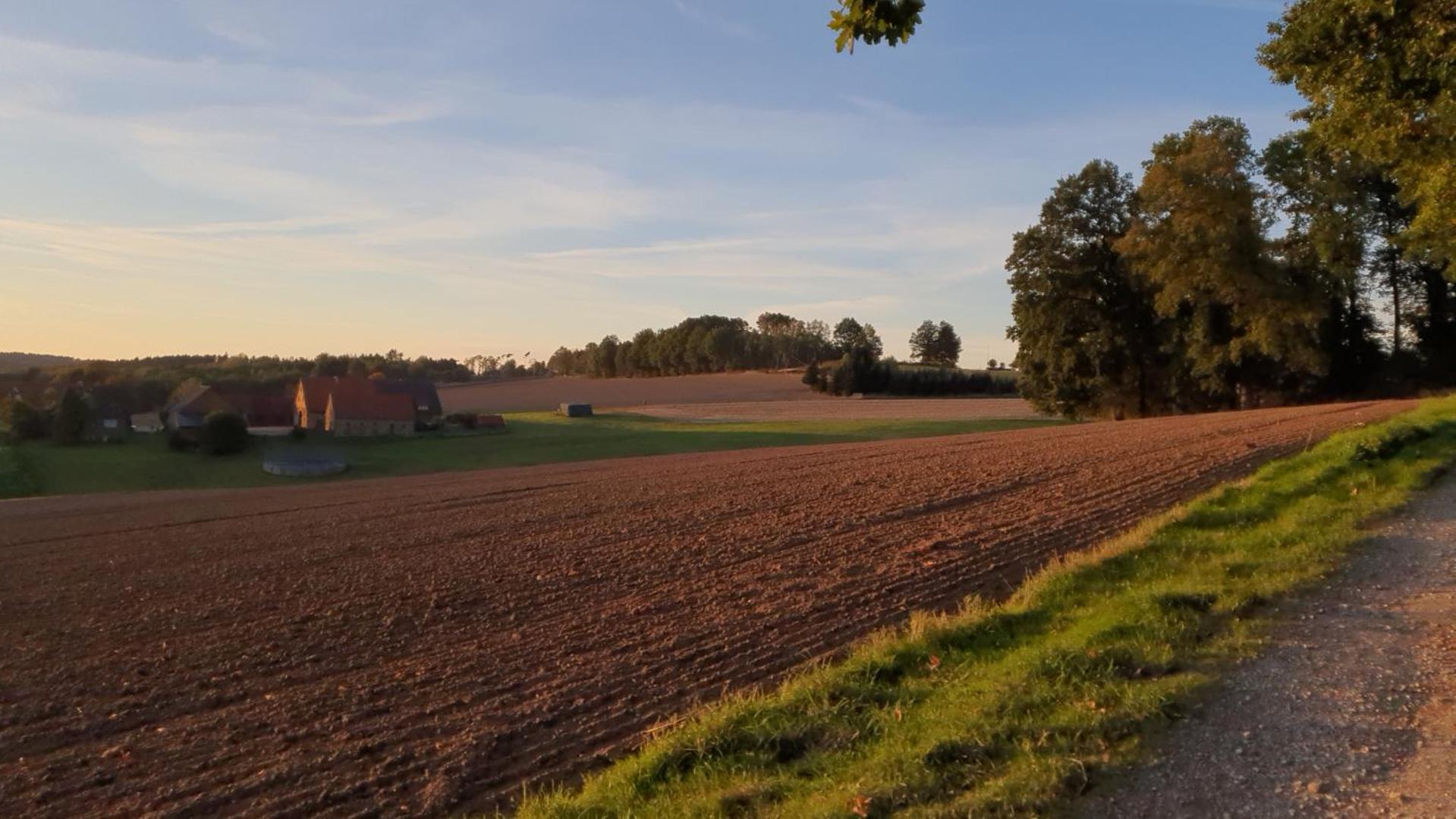 Waldoase Im Herzen Des Teutoburger Waldes *