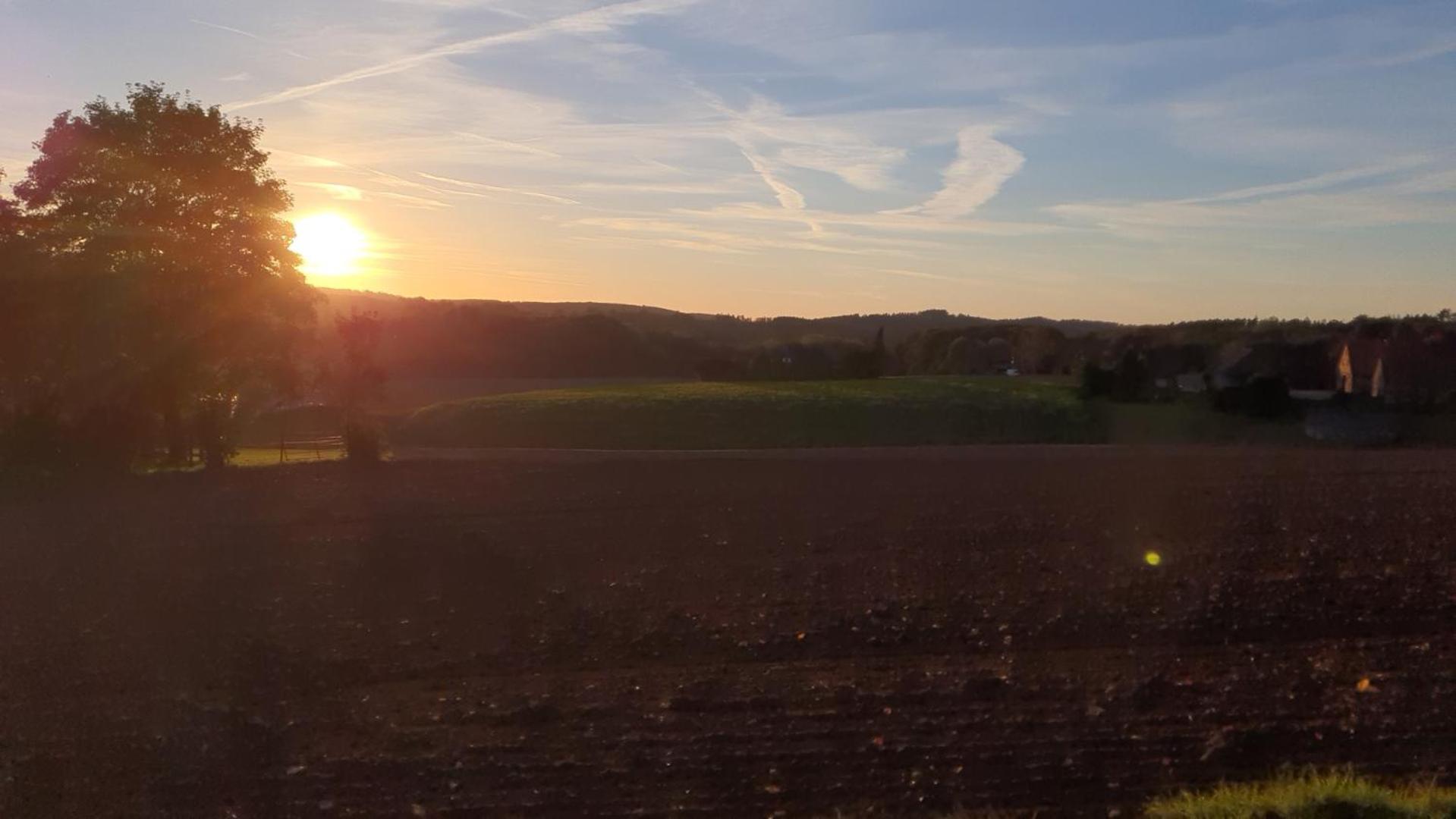 Waldoase Im Herzen Des Teutoburger Waldes