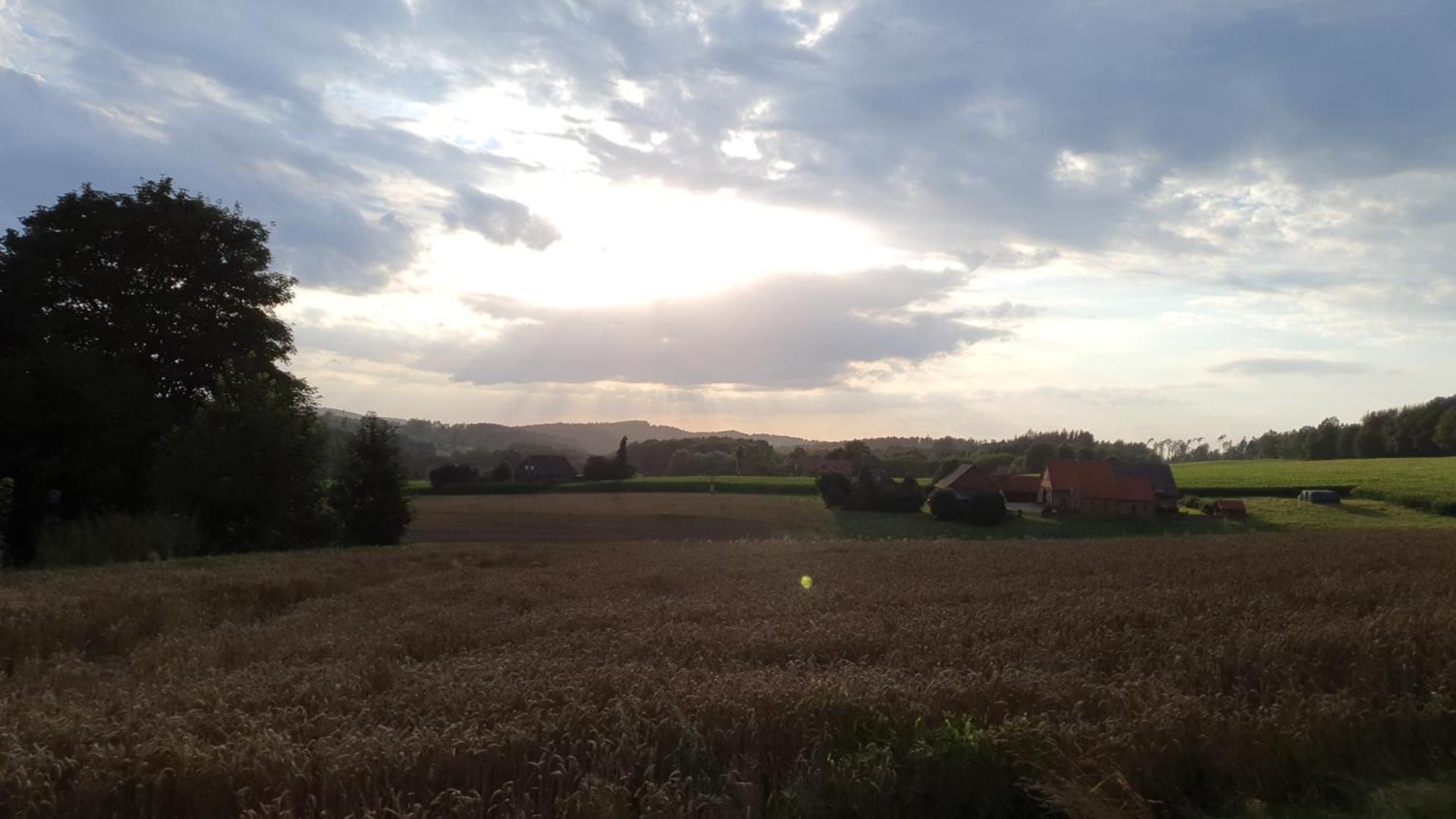 Waldoase Im Herzen Des Teutoburger Waldes Apartment *