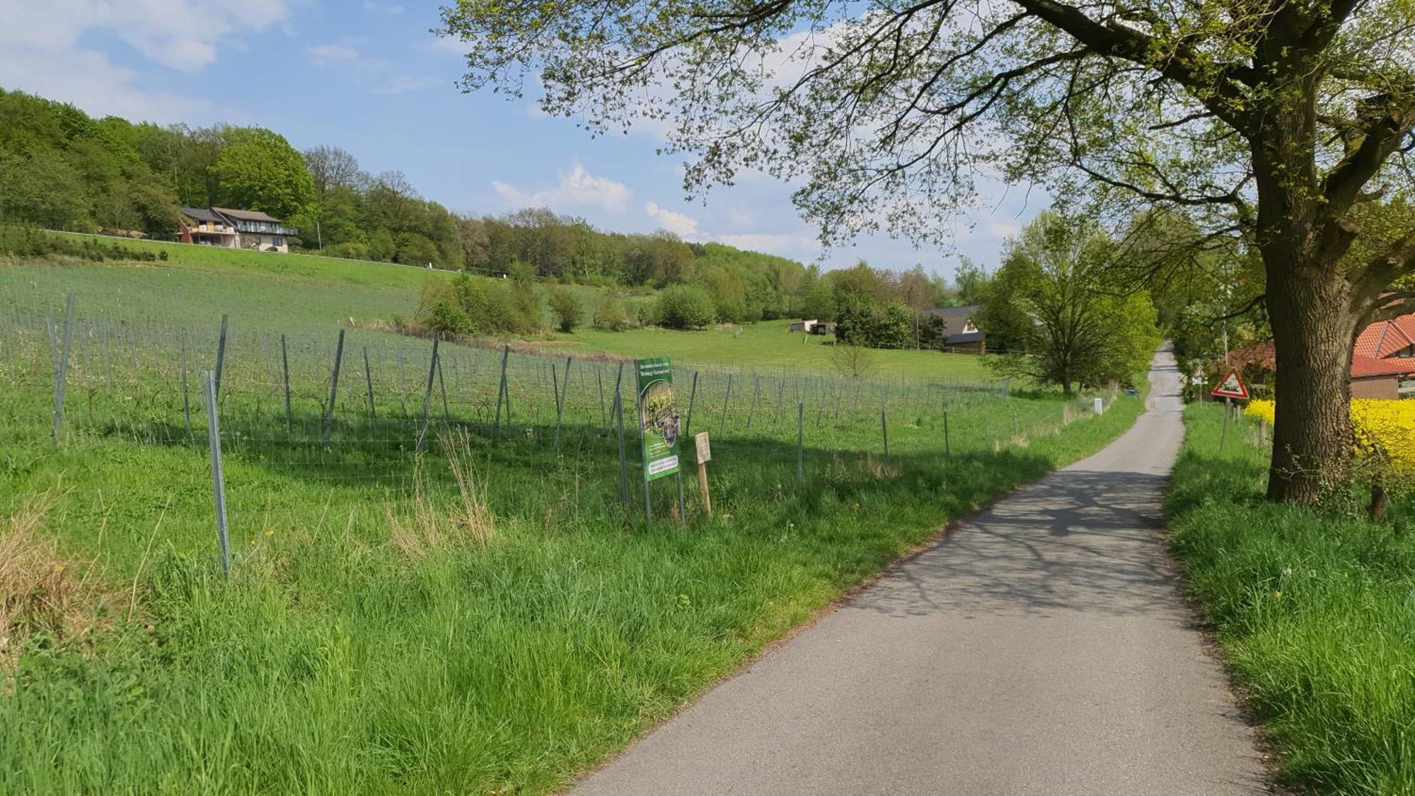 Apartment Waldoase Im Herzen Des Teutoburger Waldes Bad Iburg