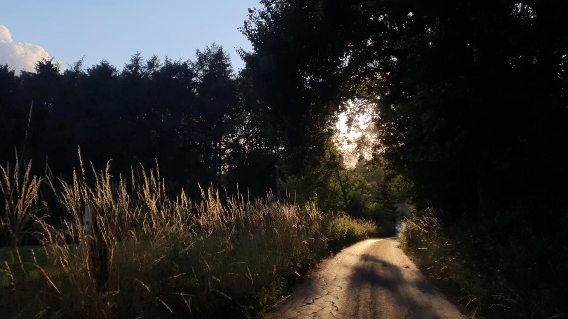 Waldoase Im Herzen Des Teutoburger Waldes Bad Iburg