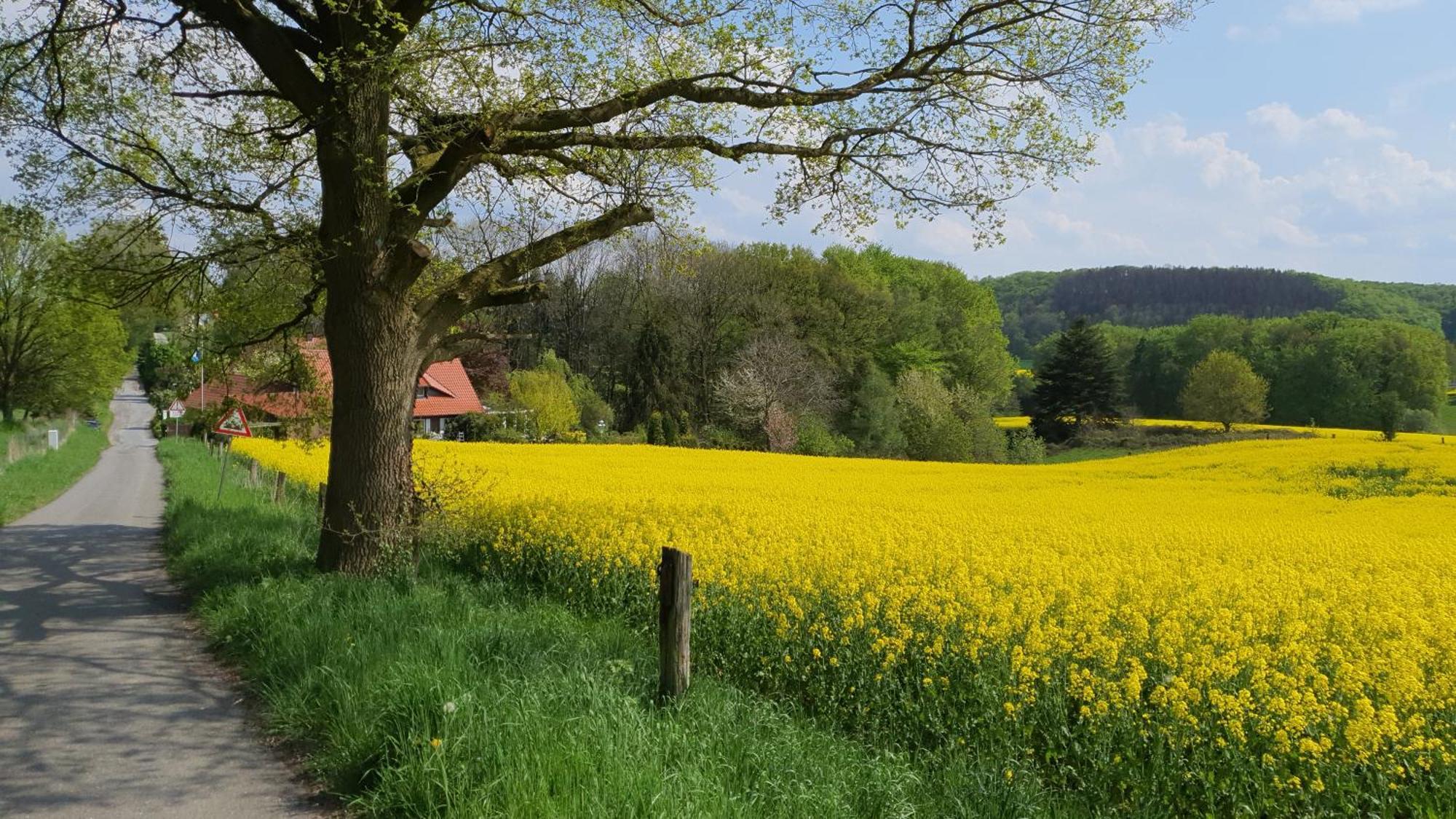 Waldoase Im Herzen Des Teutoburger Waldes *