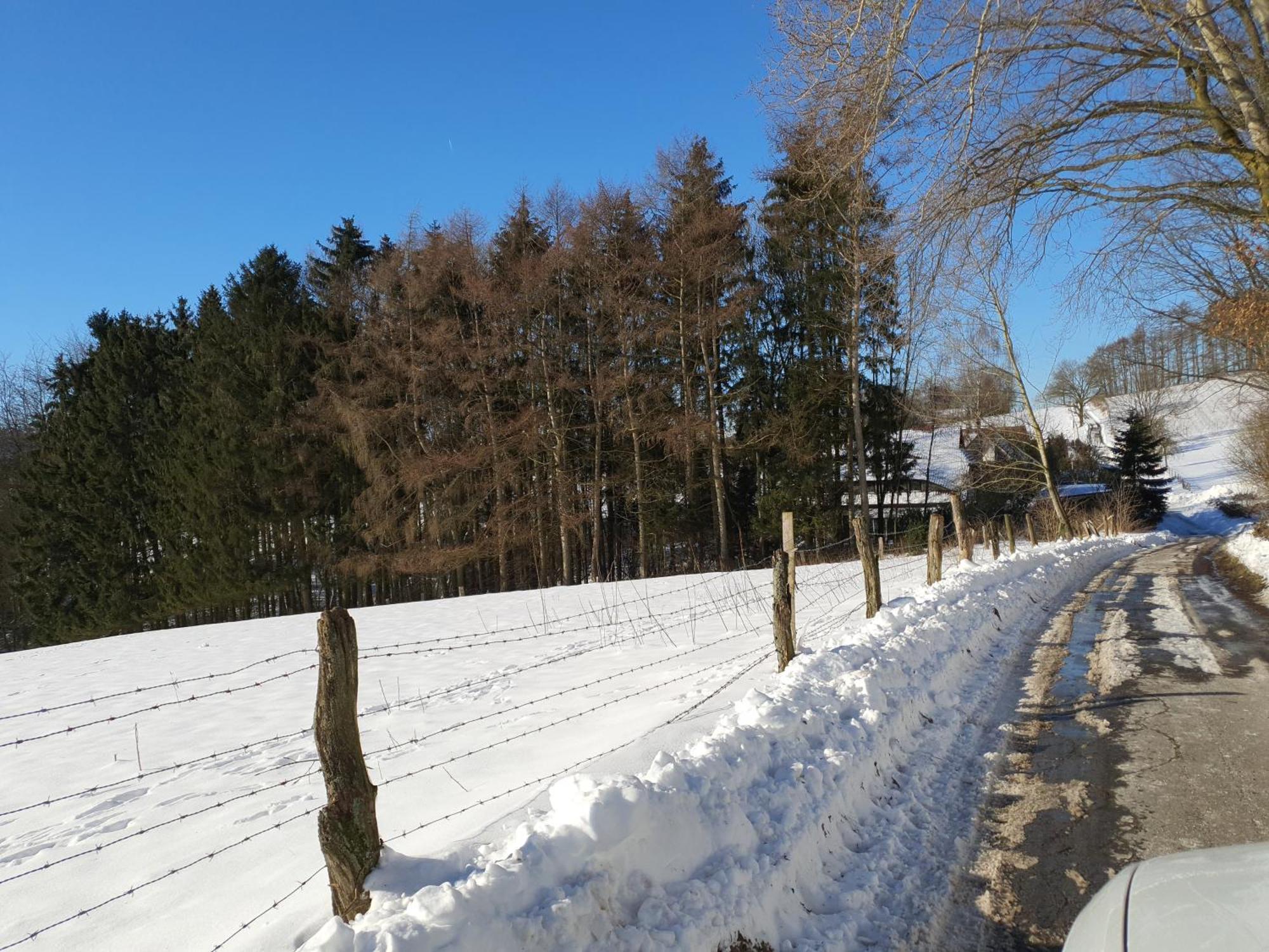 Apartment Waldoase Im Herzen Des Teutoburger Waldes Bad Iburg